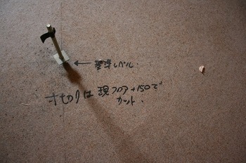 030.jpg