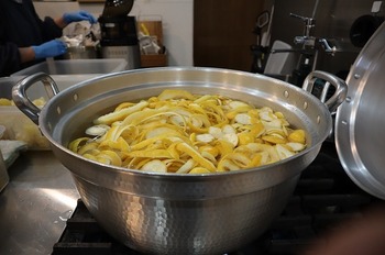 IMG_6846.jpg