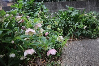 IMG_6991.jpg