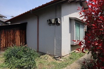 IMG_7106.jpg