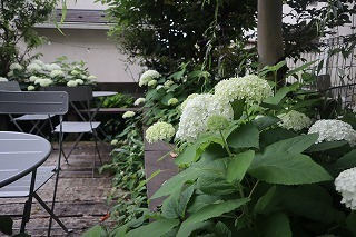 IMG_7652.jpg