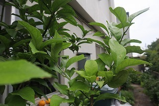 IMG_7716.jpg